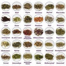 Freeze Dried Spices